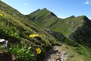 86 Breve discesa sul 204A